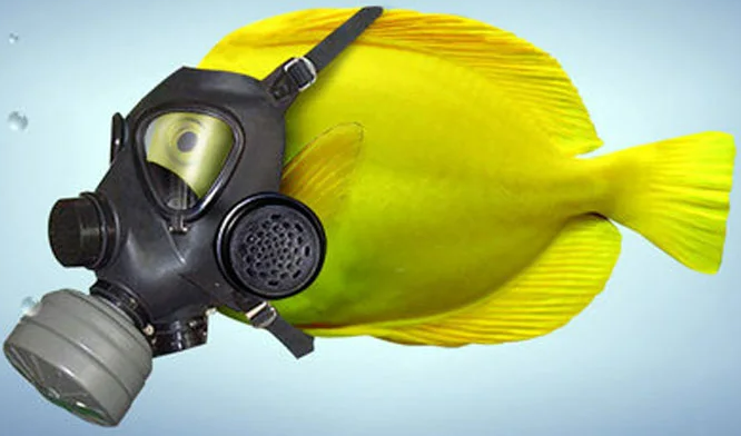 Để không có những “bãi rác ngầm dưới biển”